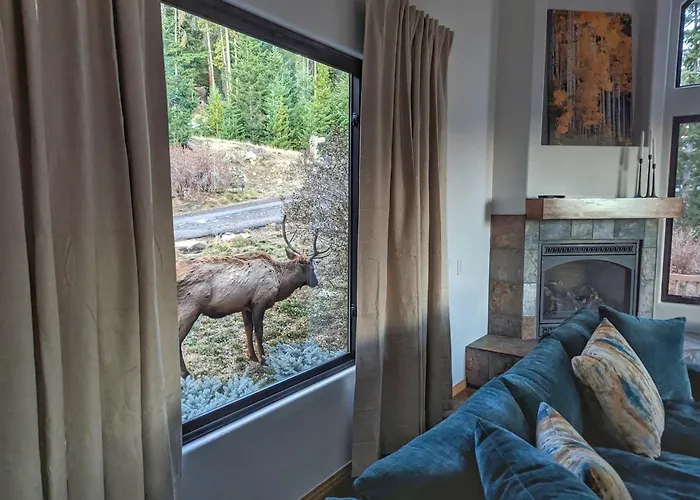 Stay In Evergreen - Denver Mountain Escape